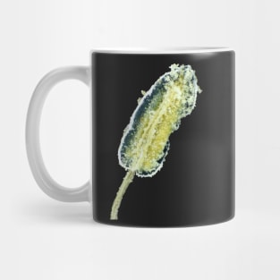 Hot pepper flower stamen with pollen under the microscope Mug